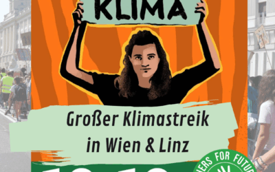 Klimastreik am 10.10.: Stabil fürs Klima!